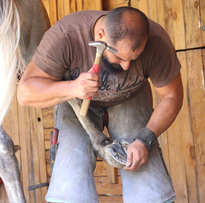 Öğretim görevlisi boş vaktinde aylık 60 bin lira kazanıyor 11